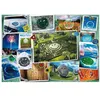 Image de Puzzle 1000 pièces : Smiley : Happy Photos Trefl