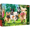 Image de Trefl Puzzle Premium Plus 1000 - Chiens (1000 pièces)