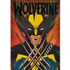 Image de Puzzle 1000 pièces Premium Plus : Wolverine / Marvel X-Men '97