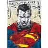 Image de Puzzle 1000 pièces Premium Plus : Superman / Warner Superman