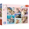 Image de Trefl Puzzle Le monde des chats (100 pièces)