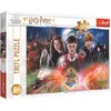 Image de Trefl Le mystérieux Harry Potter (300 pièces)