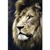 Image de Puzzle 1500 pièces : Portrait de Lions