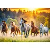 Image de Puzzle 1500 pièces : Chevaux sauvages
