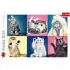 Image de Puzzle 500 pièces : Chatons Trefl