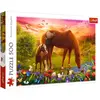 Image de Trefl Puzzle 500 pièces Chevaux dans la prairie (500 pièces)