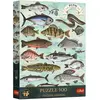 Image de Trefl Puzzle Premium Plus 500 - Fische (500 pièces)