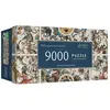Image de Trefl Anciennes cartes du ciel (9000 pièces)
