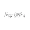 Image de Partydeco Guirlande d'anniversaire argentée (1 pcs)