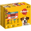 Image de Multipack Pedigree pour chien - sélection variée en gelée (4 variétés) 12 x 100 g