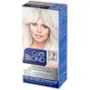 Image de Joanna, Coloration pour cheveux, Multi Colorond Whole Hair Lightener Up To 9 Tones (Eclaircisseur pour cheveux entiers) (Blond)