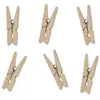 Image de Partydeco Mini-pincettes - Nature (20 pièces) (20 pcs)