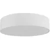 Image de TK Lighting LUMINAIRE RONDO 1581 4X60W E27BAL D60, Automatisation