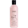 Image de Ziaja, Shampoing, Jeju Cleansing & Moisturizing Shampoo ( Shampooing propre et hydratant) 300 ml (Shampoing liquide, 300 ml)
