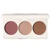 Image de INGLOT Playinn ICheek Me Up! Palette de maquillage 10 g