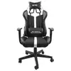 Image de Fury Avenger XL, Chaise gaming, Noir, Blanc