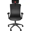 Image de Genesis Astat 200, Chaise gaming, Noir