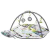 Image de KinderKraft, Tapis d'éveil + arche d'activité, Smartplay