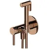 Image de Omnires, Robinet de bidet, y - inbouw bidetkraan, met sproeier en inbouwdeel, koper
