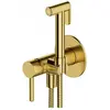 Image de Omnires, Robinet de bidet, Y Unterputz-Bidetarmatur, Messing gebürstet