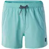 Image de Aquawave, Hommes, Short de bain, Degras Shorts, Vert, Bleu, (L)
