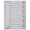 Image de Intercalaire Pp A4 12 Touches Esselte Gris