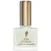 Image de Pani Walewska, Vernis à ongles, Collection de vernis à ongles - Teintes intemporelles (nr 21 - diament bia y)
