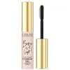 Image de Eveline, Gel pour sourcils, Brow & Go! Gel coiffant pour les sourcils 6Ml (Transparent)