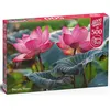 Image de Puzzle 500 pièces : Fleurs de Lotus roses CherryPazzi