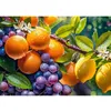 Image de Puzzle 1000 pièces : Fruits ensoleillé CherryPazzi