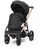 Image de Poussette Arizo 11 Premium Black Eco Cadre doré