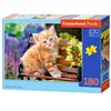 Image de Castorland 180 pièces de puzzle chaton gingembre