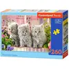 Image de Castorland Three Grey Kittens, puzzle de 260 pièces (260 pièces)