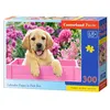 Image de Castorland Jigsaw Labrador chiot en boîte rose 300 pièces