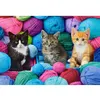 Image de Puzzle 300 pièces : Chatons dans le magasin de laine Castorland