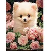 Image de Puzzle 300 pièces : Chiot de Poméranie premium dans les roses Castorland