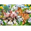 Image de Puzzle 40 pièces maxi : Amis de la Ferme - XL Castorland