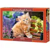 Image de Castorland Ginger Kitten, puzzle de 500 pièces (500 pièces)