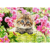 Image de Puzzle 500 pièces : Chaton au printemps