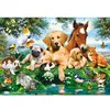 Image de Puzzle 500 pièces : Copains d'été Castorland