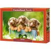 Image de Castorland Puzzle Cute Dachshunds 500 pièces (500 pièces)