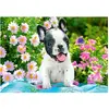 Image de Castorland Puzzle French Bulldog Puppy 500 pièces (500 pièces)