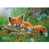 Image de Puzzle 500 pièces : Rêves rusés Castorland
