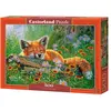 Image de Castorland Puzzle 500 pièces - Foxy Dreams (500 pièces)