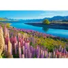 Image de Puzzle 500 pièces : Lac Tekapo, Nouvelle-Zélande Castorland