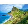 Image de Puzzle 500 pièces : Madère verte Castorland