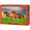 Image de Castorland Puzzle 500 pieces Horses in Spring Rush (500 pièces)
