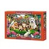 Image de Pets In The Park, Puzzle 1000 Teile - Castorland