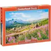 Image de Castorland Hala Gsienicowa, Tatras, Pologne, puzzle 1000 pièces (1000 pièces)