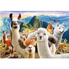 Image de Castorland Llamas Selfie (1000 pièces)